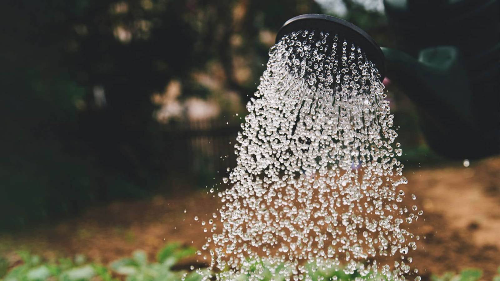 2026’da büyük binalara yağmur ve gri su zorunluluğu geliyor