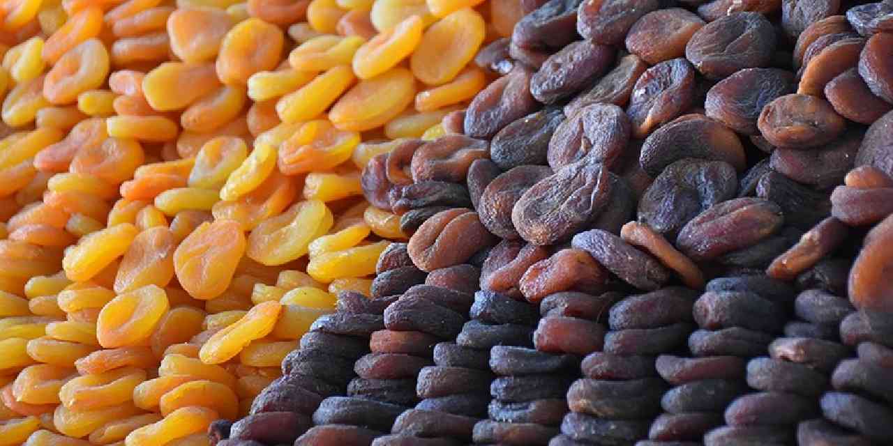 Kayısıdan gelen servet: 303 milyon 584 bin dolar kazandırdı!