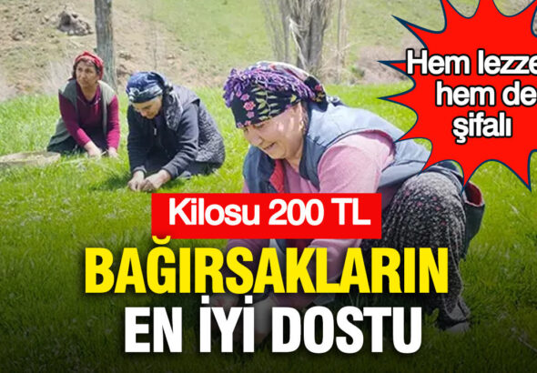 hem-lezzetli-hem-de-sifali-bagirsaklarin-en-iyi-dostu-kilosu-200-tl-RVtJKQpL